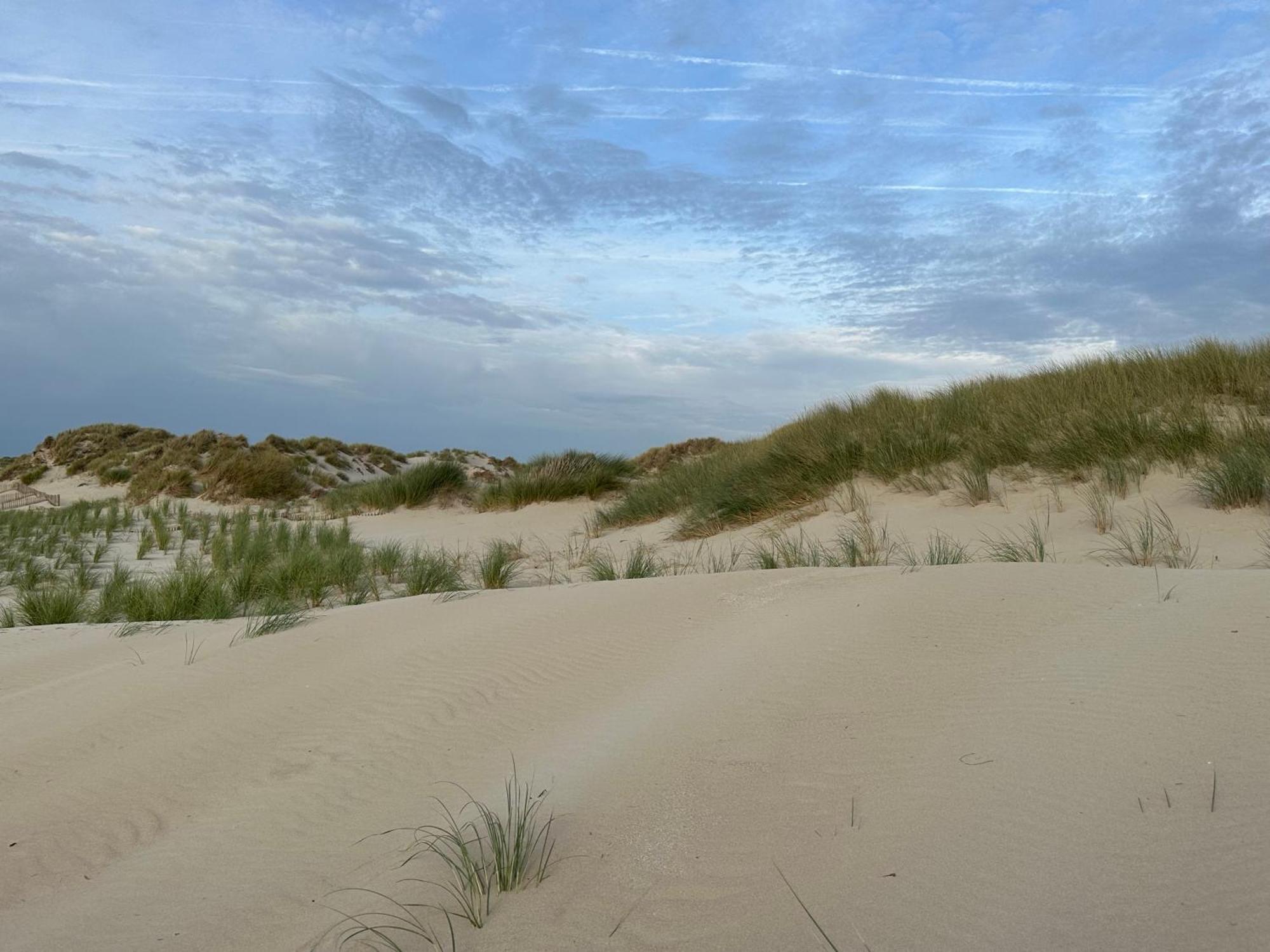 Bleu Blanc Dunes Appartement Plage Merlimont 10 Mn Berck Le Touquet Kültér fotó